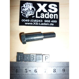 Halteschraube Handbremshebel (am HBZ)