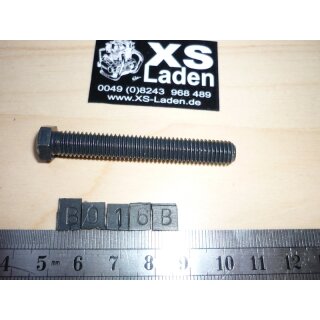 Schraube Kettenspanner, original