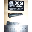 Halteschraube Handbremshebel (am HBZ)