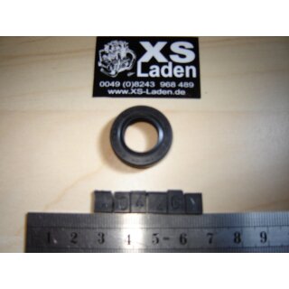 Wellendichtring Schaltwelle SR500