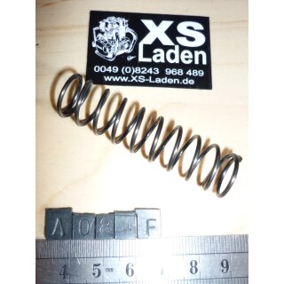 Druckfeder Steuerkettenspanner, SR500,  original