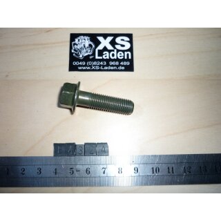 Halteschraube Fußrastenplatte, XS1100, Original