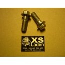 Bremssattel-Befestigungsschraube M10x1,25 ab `77 , Original