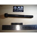 Motorhaltebolzen vorne unten