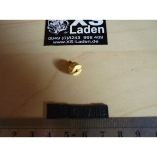 Hauptdüse XS400 gr. 135, (für offene Leistung)