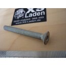 Senkkopfschraube mit Innensechskant M6x55