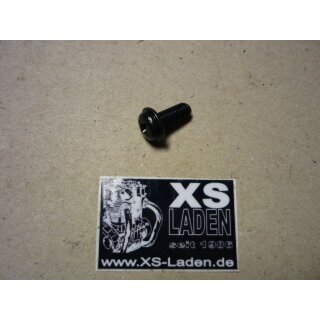 Kreuzschlitzschraube mit Flansch M6x14, Original