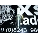 Zündkerze NGK-DR8ES-L