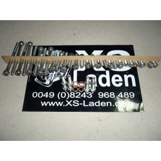 Edelstahlschraubenkit für Motordeckel, SE Modelle (42 tlg.)