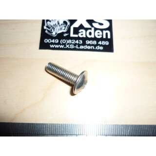 Linsenkopfschraube mit Innensechskant M6x20, (z.B. Kennzeichenschraube, Verkleidungsschraube usw.)