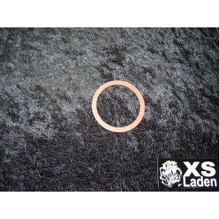 Dichtscheibe groß, für große Steuerkettenspanner Hutmutter XS2, original