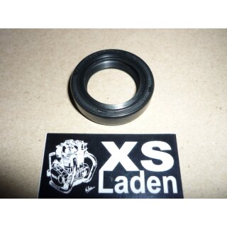 Wellendichtring Kickstarter, XS500, Zubehör