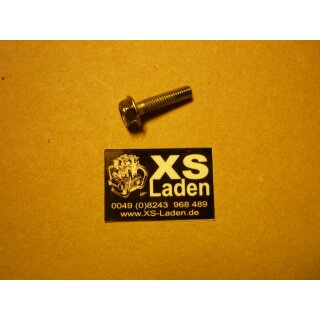 Flanschschraube Zylinderkopf M6, original