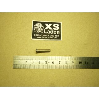 Schraube für Blinkerglas, XS1100