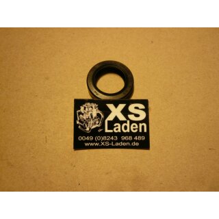 Oil seal, kick starter