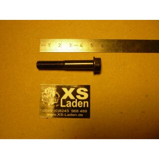 Bundschraube für Bremssattel an Bremssattelhalter.