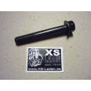 Motorhaltebolzen hinten, Dreiecksbleche zum Rahmen, original