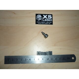 Zapfenschraube (M6), original