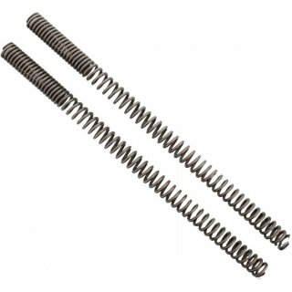 Wirth Gabelfedern, poliert und progressiv XS1100S (5K7)