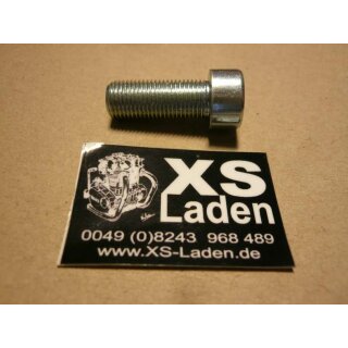 Schraube Gabelbefestigung, original