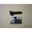 Flanschschraube Zylinderkopf M8, original