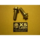 Bremssattel-Befestigungsschraube, original