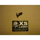 Halteschraube Tacho + DZM Gehäuse, Flachkopfschraube...