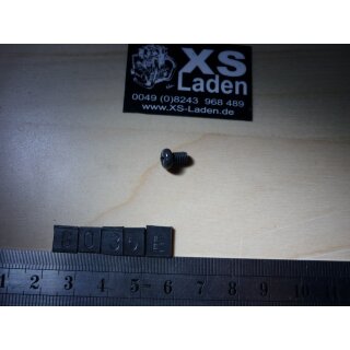 Ablassschraube Gabel (am Standrohr, schwarzer Kopf), original